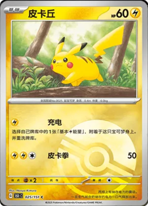 Pikachu Pokeball Holo