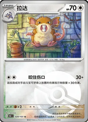 Raticate Pokeball Holo