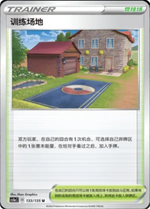 Training Court