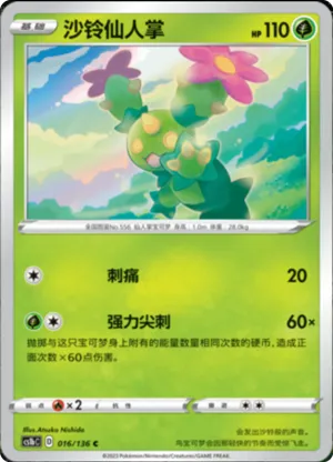 Maractus
