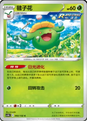 Skiploom