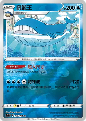 Wailord Reverse Holo
