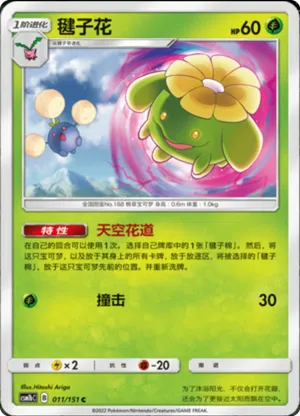 Skiploom