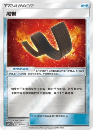 Karate Belt Reverse Holo