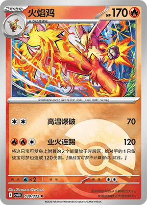 Blaziken Pokeball Holo