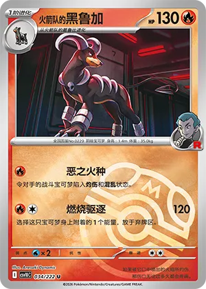 Team Rocket's Houndoom Master Ball Holo