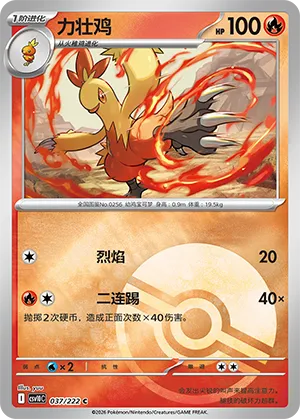 Combusken Pokeball Holo