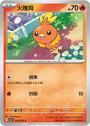 Torchic