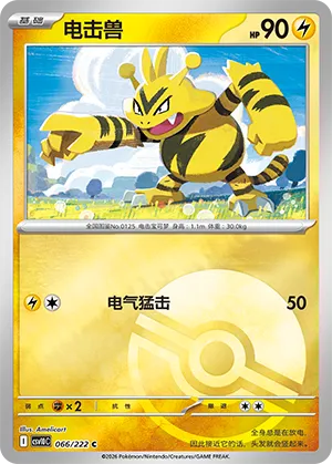 Electabuzz Pokeball Holo