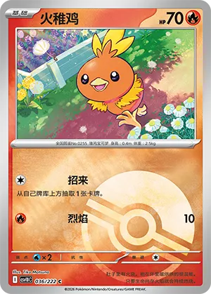 Torchic Pokeball Holo