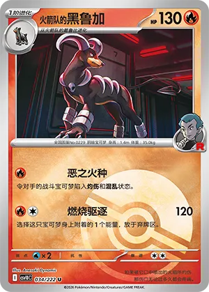 Team Rocket's Houndoom Pokeball Holo