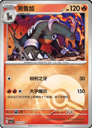 Houndoom Pokeball Holo