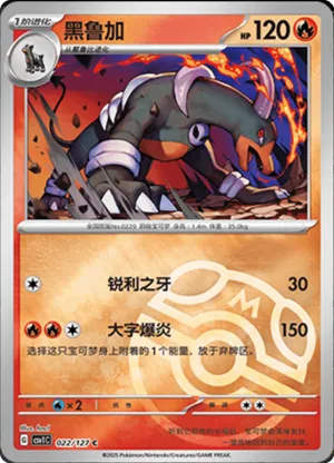Houndoom Master Ball Holo