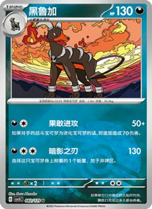 Houndoom Pokeball Holo