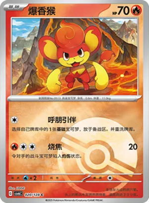 Pansear Pokeball Holo