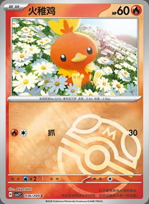 Torchic Master Ball Holo