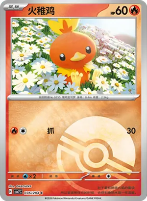 Torchic Pokeball Holo