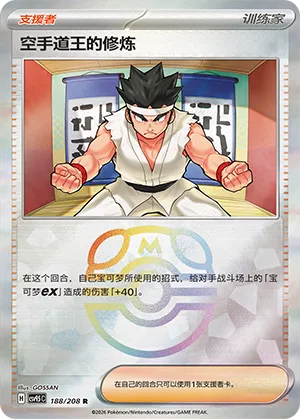 Black Belt's Training Master Ball Holo