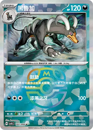 Houndoom Master Ball Holo