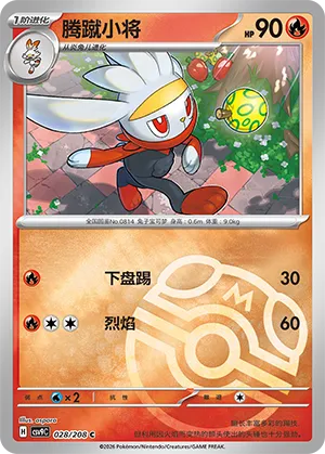 Raboot Master Ball Holo