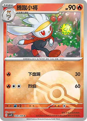 Raboot Pokeball Holo