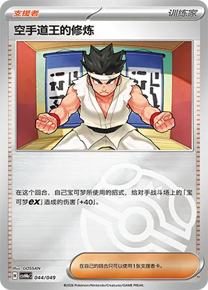 Black Belt's Training Master Ball Holo