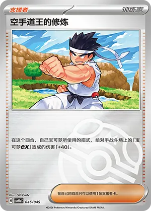 Black Belt's Training Master Ball Holo