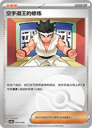 Black Belt's Training Pokeball Holo