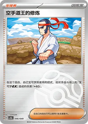 Black Belt's Training Master Ball Holo