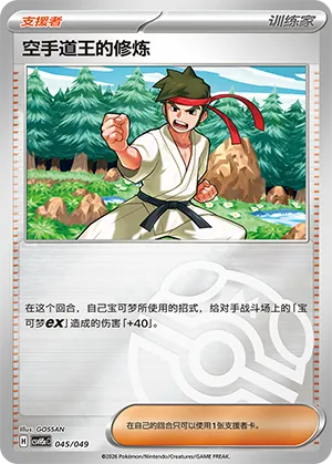 Black Belt's Training Master Ball Holo