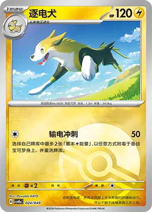 Boltund Pokeball Holo