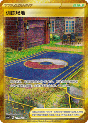 Training Court 217/352 Dynamax Clash - Set A