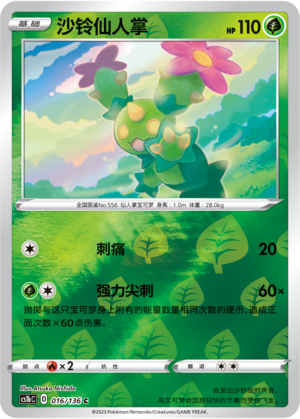 Maractus