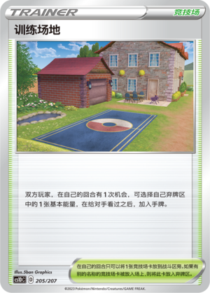 Training Court 205 Dynamax Clash V Starter Deck