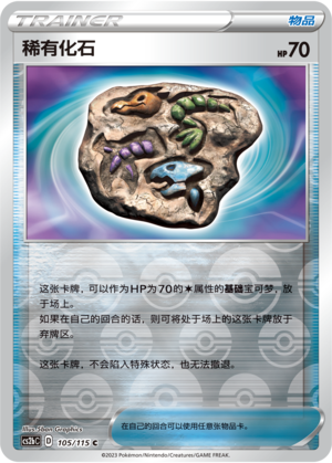 Rare Fossil