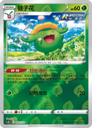 Skiploom
