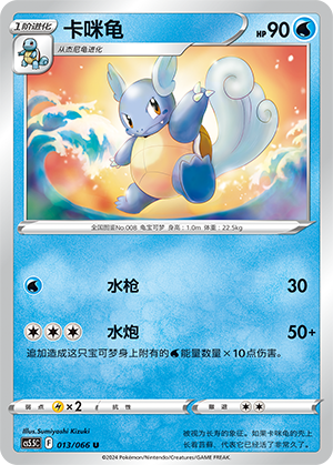 Wartortle 013 Shadow of Glory