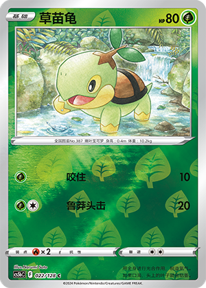 Turtwig
