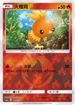Torchic