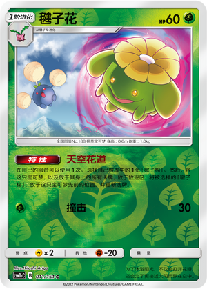 Skiploom