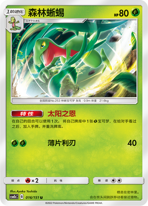 Grovyle 016/355 Storming Emergence - Set B