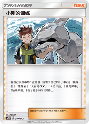 Brock's Training 307 Shining Synergy GX Starter Deck