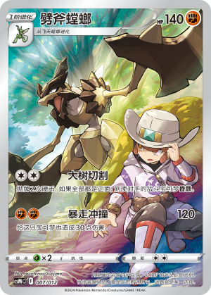 Kleavor 007 Pokémon Card Display Sets Volume 2