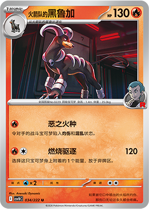 Team Rocket's Houndoom 034 Chasing Glory Together