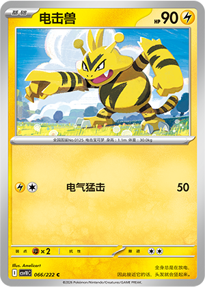 Electabuzz 066 Chasing Glory Together