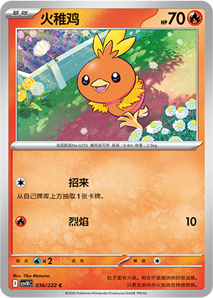 Torchic 036 Chasing Glory Together