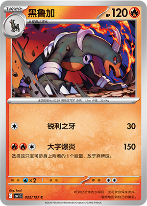Houndoom 022/294 Eternal Birth