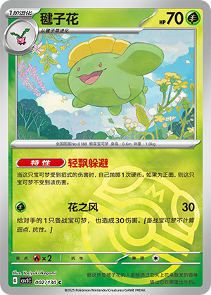 Skiploom