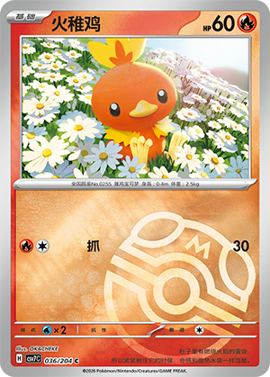 Torchic