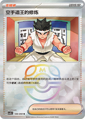 Black Belt's Training